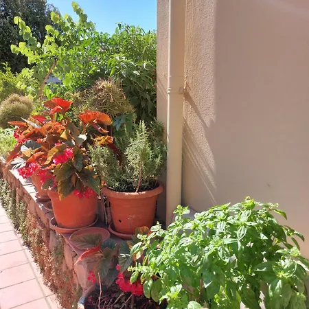 Apartment Les Estrelles Alghero