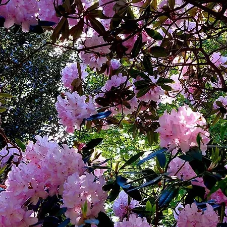 Apartment Les Estrelles