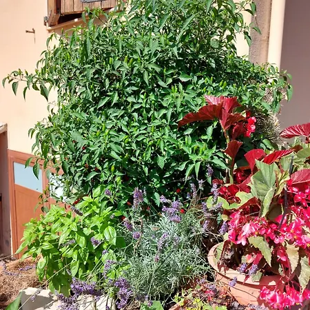 Les Estrelles Apartment *