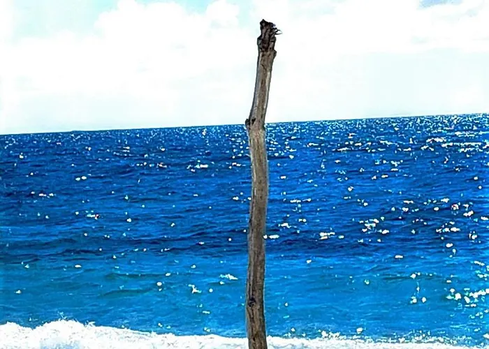 Les Estrelles 公寓 *