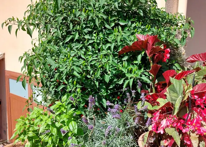 Les Estrelles 公寓 *