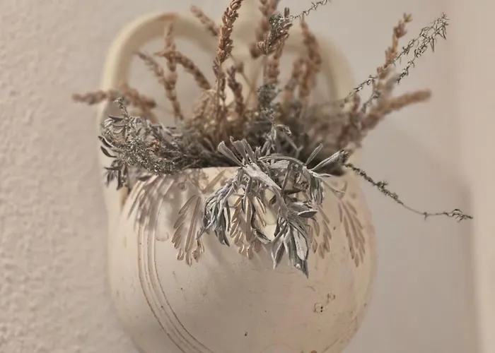 公寓 Les Estrelles